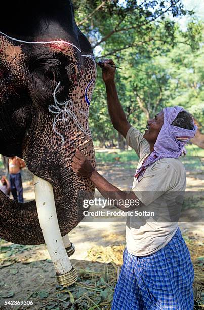 Sonepur Mela Photos and Premium High Res Pictures - Getty Images Sonepur Mela Photos and Premium High Res Pictures - Getty Images