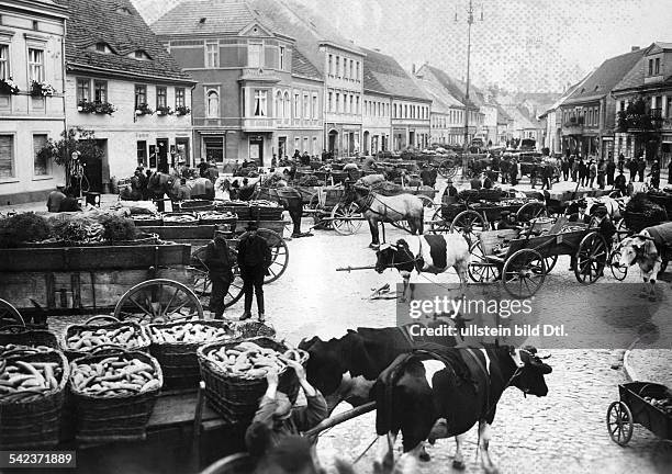 Gurkenmarkt in Lübbenau- um 1927- veröffentlicht in der B.M. Vom 24.7.1931 und der B.I.Z. Vom