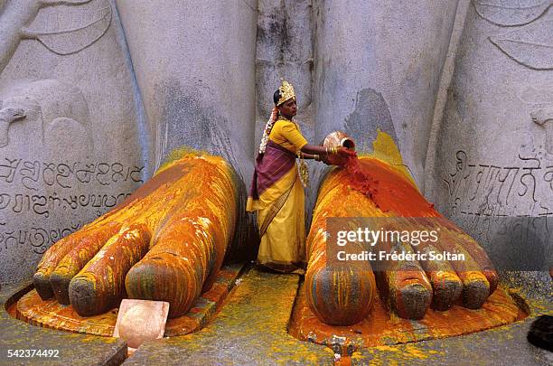 Nirmala comes to Sravanabelagola, a great centre for Jain culture, to enter the Digambara community. For three days, she follows the ritual of...