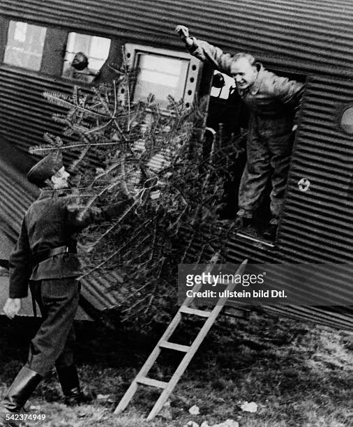 Ein Tannenbaum wird in eine Transportmaschine geladen, um zu den Soldaten an der Front gebracht zu werden.Dezember 1940- Aufnahme:...