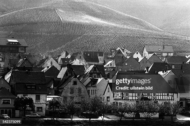 - Weinbaugebiet an der Mosel- 1983