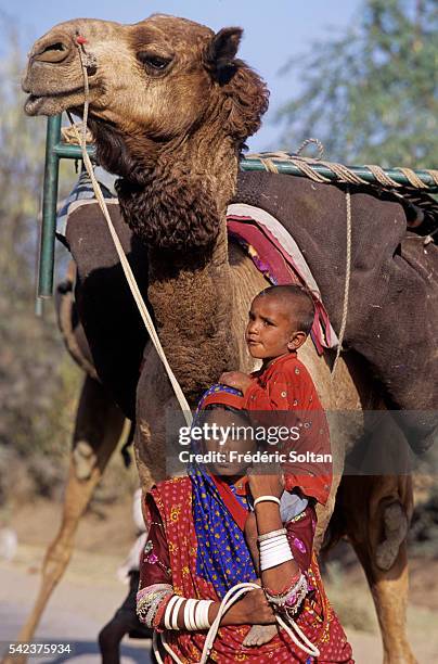 Rabari are nomadic people throughout Rajasthan and Gujarat. Traditionally, they are camel herders and sheperds. Today, most of them have settled down...