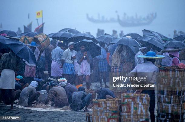 Fish market on the beach of Purukkad during the fishing season, influenced by the seasonal heavy rains of the southwest summer monsoon. | Location:...