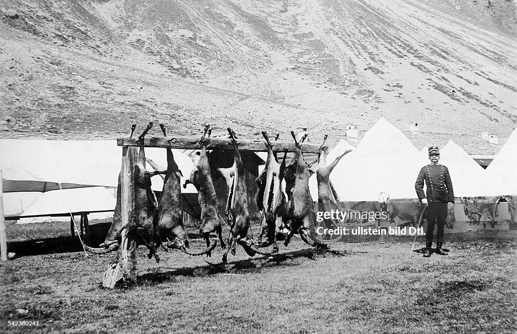 Hunting the Alpine Ibex: King Victor Emmanuel III hunting ibex, the dead animals in front of the tent camp, date unknown, around 1905, published in Berliner Illustrirte Zeitung 34/1905, photo by J. Brocherel