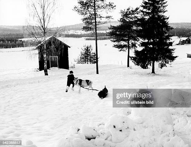 Junge mit seinem Hundeschlitten.Finnland - 1972