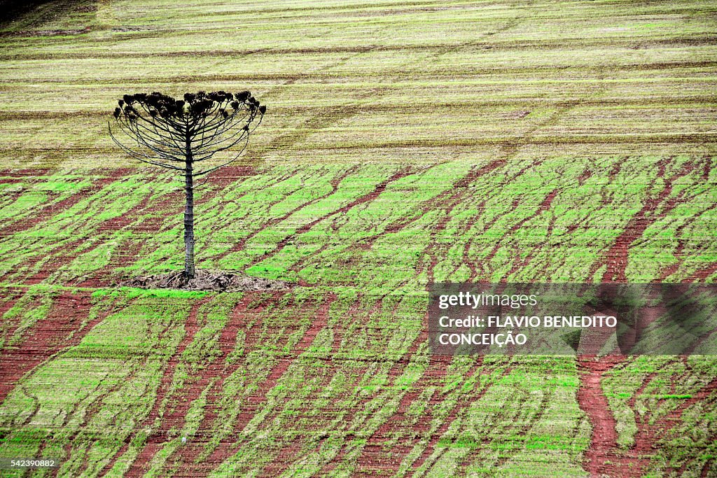 Erosion caused by rain