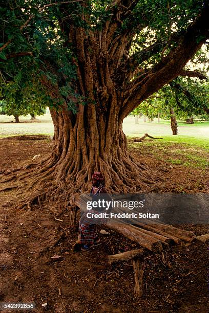 Sine River Photos and Premium High Res Pictures Getty Images