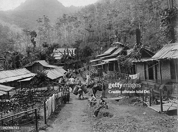 Java Timber Plantation Java Coffee Photos and Premium High Res Pictures - Getty Images