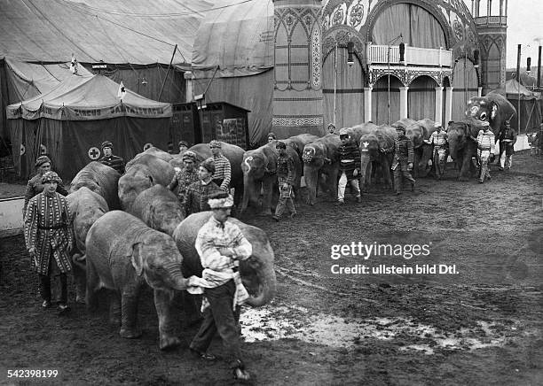 Germany, Berin, Circus Krone - procession of the artists and elephants before the show- about 1925- Photographer Herrnleben