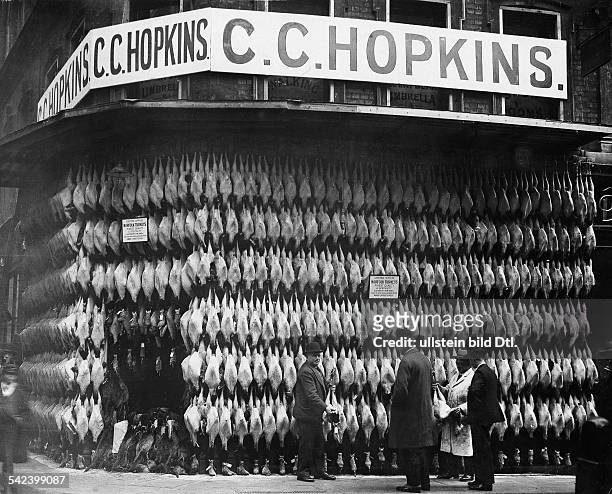New York, New York City:: Street scene The turkey wall: sale of Norfolk turkey close to christmas at C.C. Hopkins - 1929 - Vintage property of...