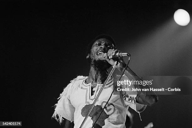 Jamaican singer Jimmy Cliff performs on stage at Porte de Pantin, in Paris.
