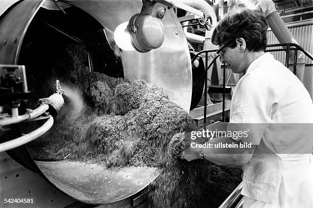 Bei BAT in Hamburg : dem Tabak wirdFeuchtigkeit entzogen und er wirdgereinigt.- 1979