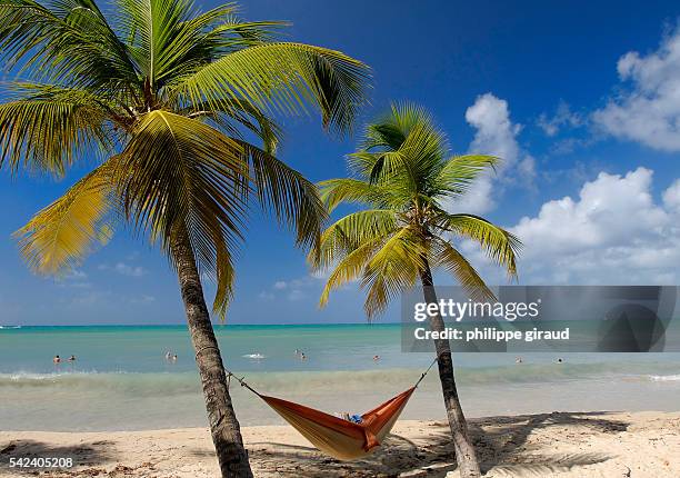 Vacationer reads in a hammock on the Plage des Salines in Sainte Anne.