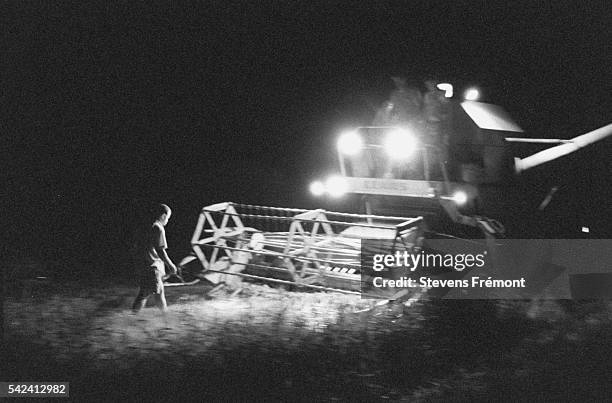 Harvesting at night.