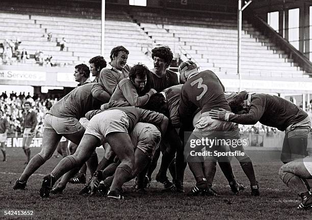 Donal Spring 28 Donal Spring Photos & High Res Pictures - Getty Images