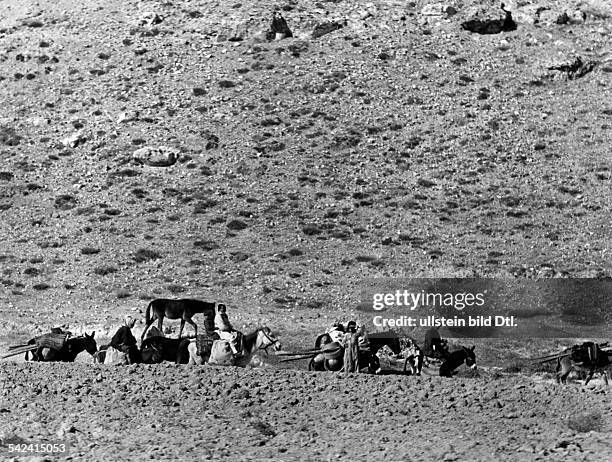 Taurus Train 13 Taurus Express Train Stock Photos, High-Res Pictures, and Images ...