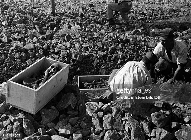 Redipuglia: Kriegsfriedhof der III. Armee Italien auf dem Colle Sant'Elia, GraeberSoldaten der 2. Compagnia Lavoratori bei der Exhumierung der...