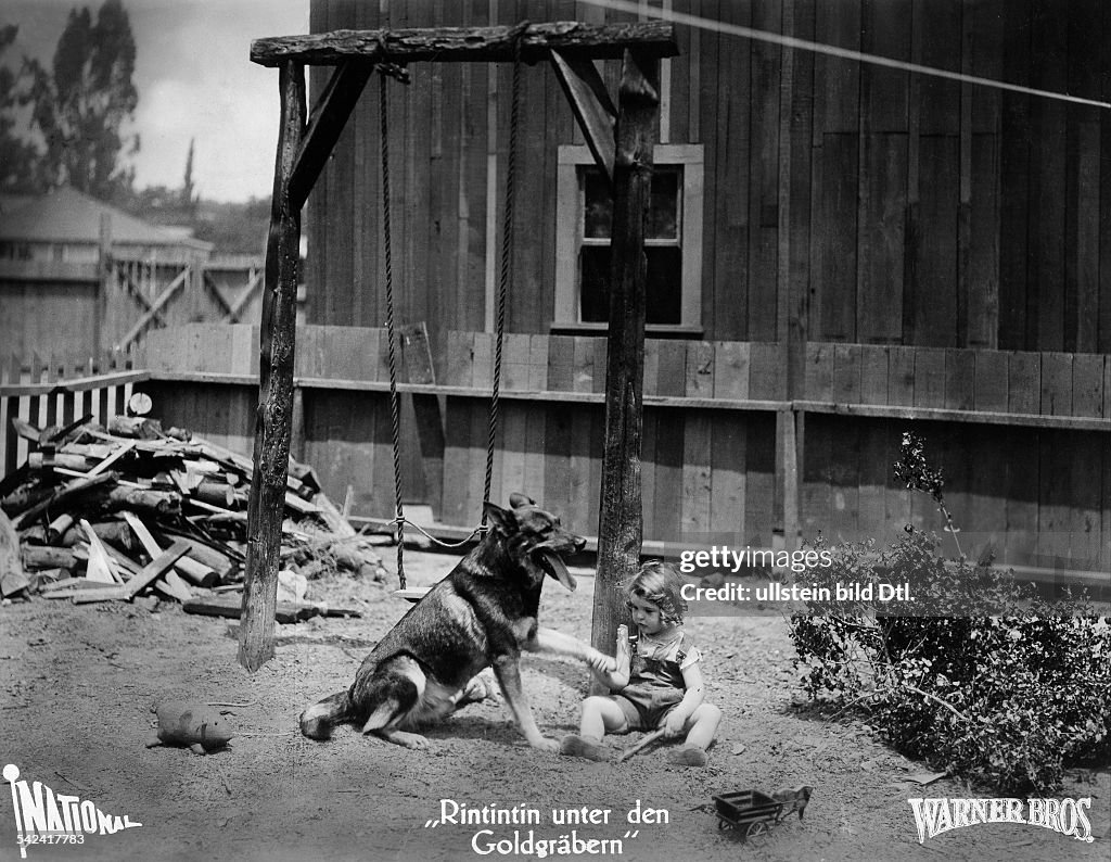 Animals in movies Scene from the movie 'Jaws of Steel'' Directed by: Ray Enright USA 1927 Produced by: Warner Brothers Vintage property of ullstein bild