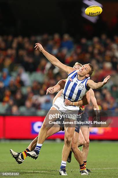 Drew Petrie of the Kangaroos competes with Daniel Talia of the Crows during the 2016 AFL Round 14 match between the Adelaide Crows and the North...