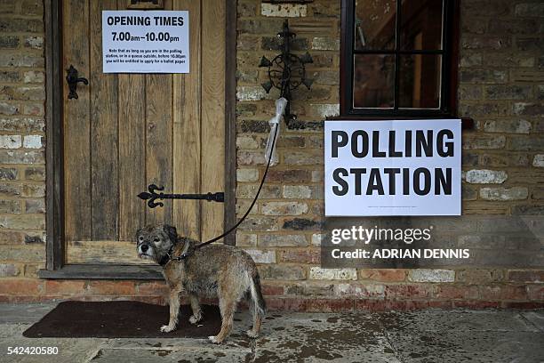 Dog waits as its owner casts their ballot paper in a polling station set up in the grounds of a private residence near Fleet, southwest of London, on...