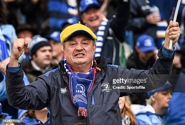 April 2015; Leinster supporters. European Rugby Champions Cup Semi-Final, RC Toulon v Leinster. Stade Vélodrome, Marseilles, France. Picture credit:...