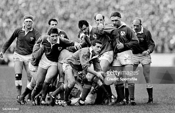 March 1988; Ireland scrum-half Michael Bradley gets the ball away watched by team-mates Donal Lenihan, Mike Gibson and Des Fitzgerald. Five Nations...