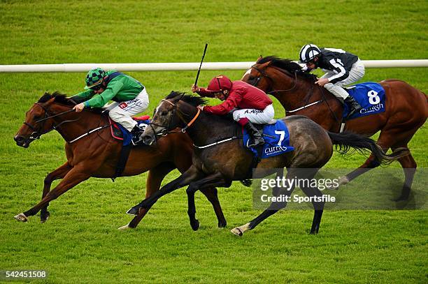 Leigh Roche 119 Andrea Roche Stock Photos, High-Res Pictures, and Images - Getty Images
