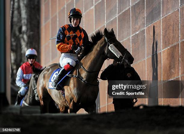 Shane Shortall 33 The Roman Novices Stock Photos, High-Res Pictures, and Images ...