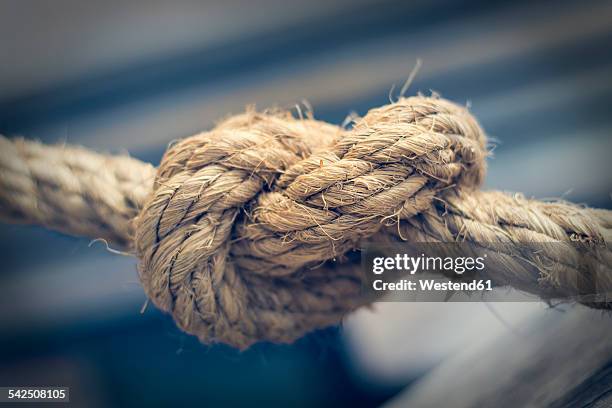 knotted rope, close-up - leinen stock-fotos und bilder