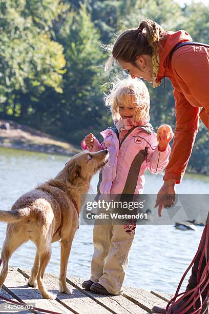 Beg Stock 29 Bun Beg Stock Photos, High-Res Pictures, and Images - Getty Images