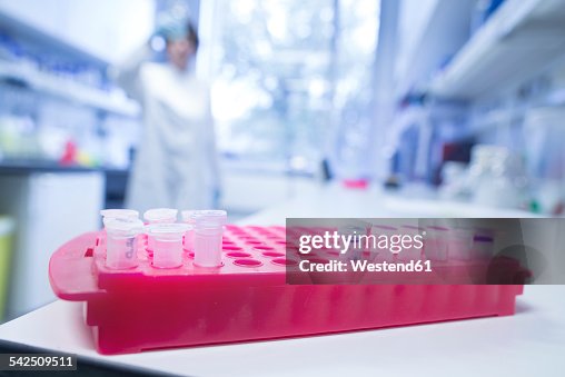 Marketlab Racks Pink Pink Rack With Tubes In A Laboratory High-Res Stock Photo - Getty Images
