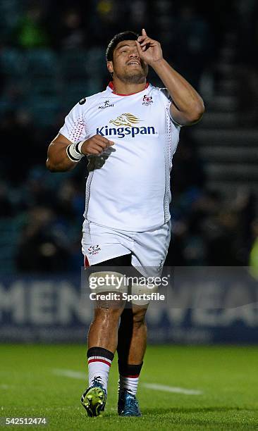 Nicholas Williams Rugby 748 Nick Williams Rugby Stock Photos, High-Res Pictures, and Images ...