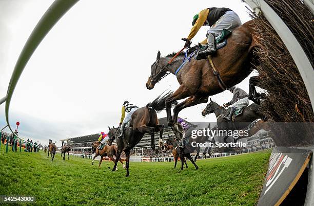 March 2016; A general view of the field as they jump the last fence on the second circuit of the 146th Year of the National Hunt Steeple Chase...