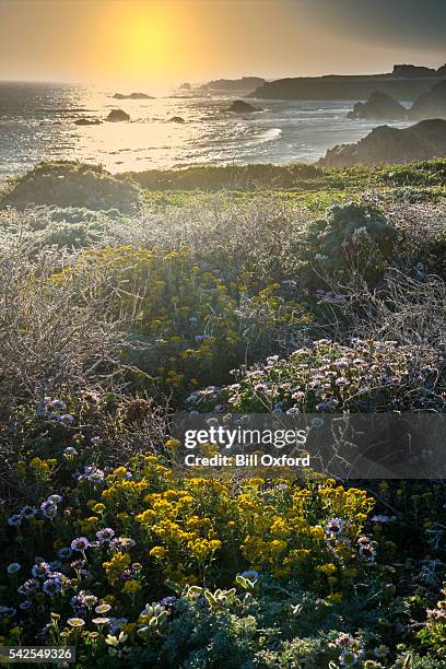 coastal california - mendocino bildbanksfoton och bilder