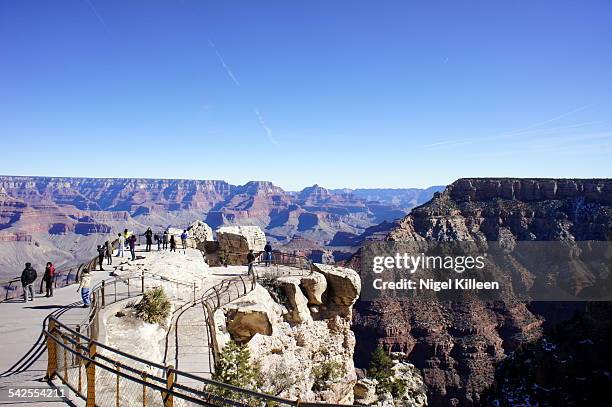 the grand canyon - mather point stock pictures, royalty-free photos & images
