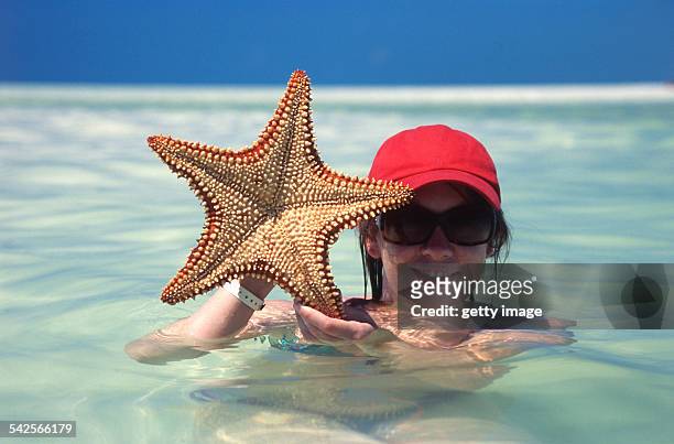 starfish - red hot cuba stock pictures, royalty-free photos & images