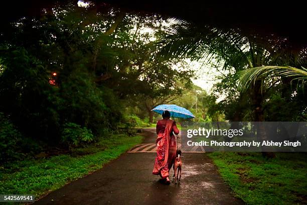 a old woman walking her dog down the road - monsoon stock pictures, royalty-free photos & images