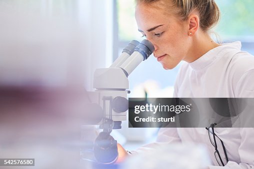 Research student scientist Research student scientist