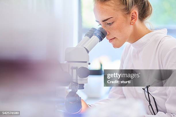 research student scientist - medical test stockfoto's en -beelden