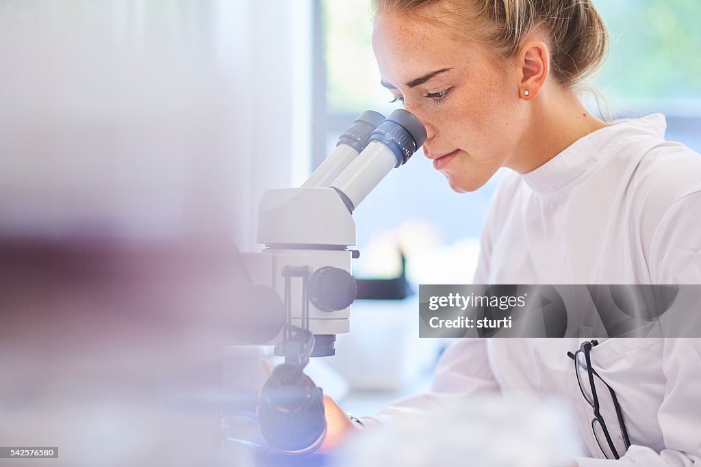 Research student scientist