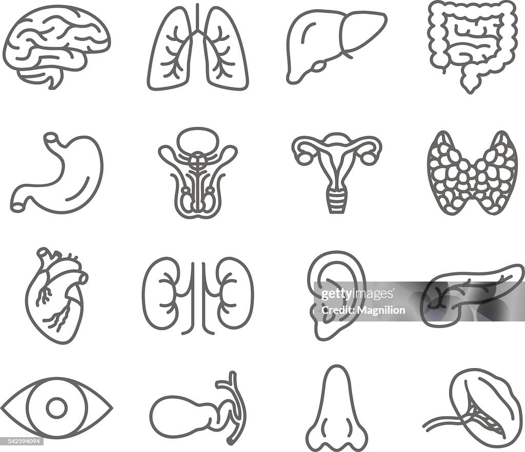 Human Organs Vector Icons Set