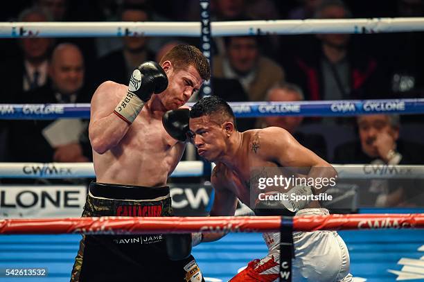 Paddy Boxing Paddy Gallagher (Boxer) Photos and Premium High Res Pictures - Getty Images