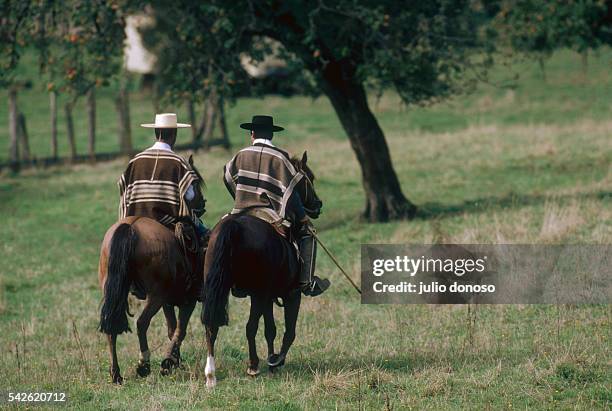 Two Huaso cowboys on horseback wearing traditional attire. During the winter months the Huasos wear narrow-brimmed hats and wool ponchos.