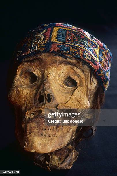 Mummified head from the Nazca civilization, photographed at the Julio C. Tello museum in Paracas National Park, Peru.