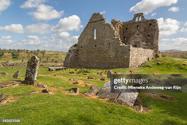 view on the ruins of st. nicholas's church, at the lost town of newtown jerpoint, county kilkenny, province of leinster, ireland - saint nicholas stock pictures, royalty-free photos & images