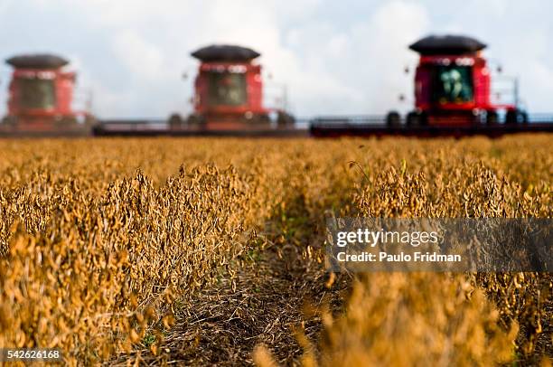 Soybeans are harvested at Fartura Farm, in Mato Grosso state, Brazil. Brazil is the second largest soy producer worldwide.