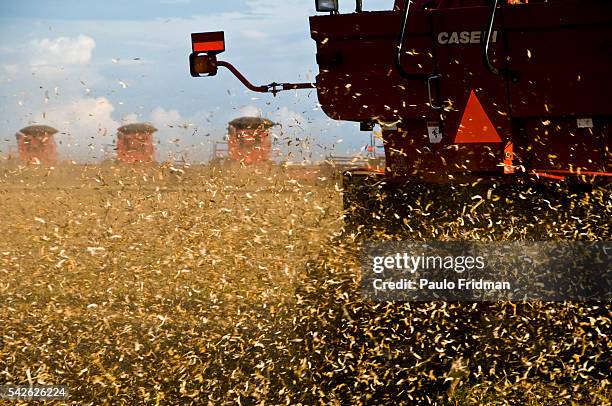 Soybeans are harvested at Fartura Farm, in Mato Grosso state, Brazil. Brazil is the second largest soy producer worldwide.