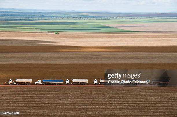 Trucks drive through on the road that cuts through the crops of soy at Fartura Farm, in Mato Grosso state, Brazil. Brazil is the second largest soy...