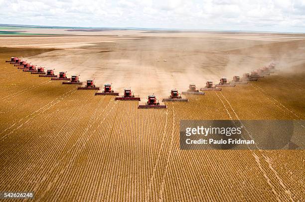 Soybeans are harvested at Fartura Farm, in Mato Grosso state, Brazil. Brazil is the second largest soy producer worldwide.