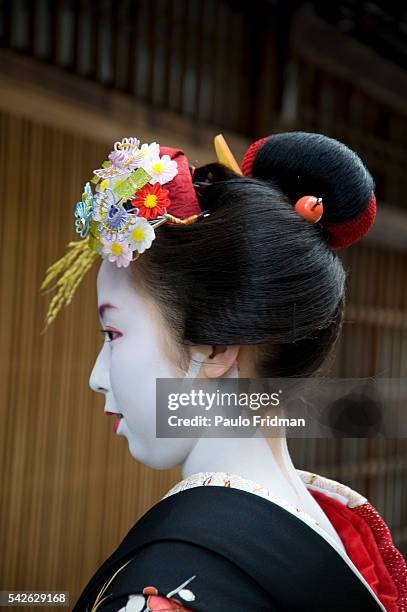 43 Geigi Stock Photos, HighRes Pictures, and Images Getty Images